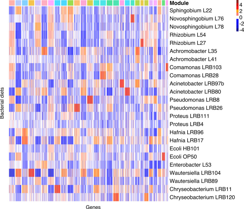 Thousands of Pristionchus pacificus orphan genes were integrated into developmental networks that respond to diverse environmental microbiota.