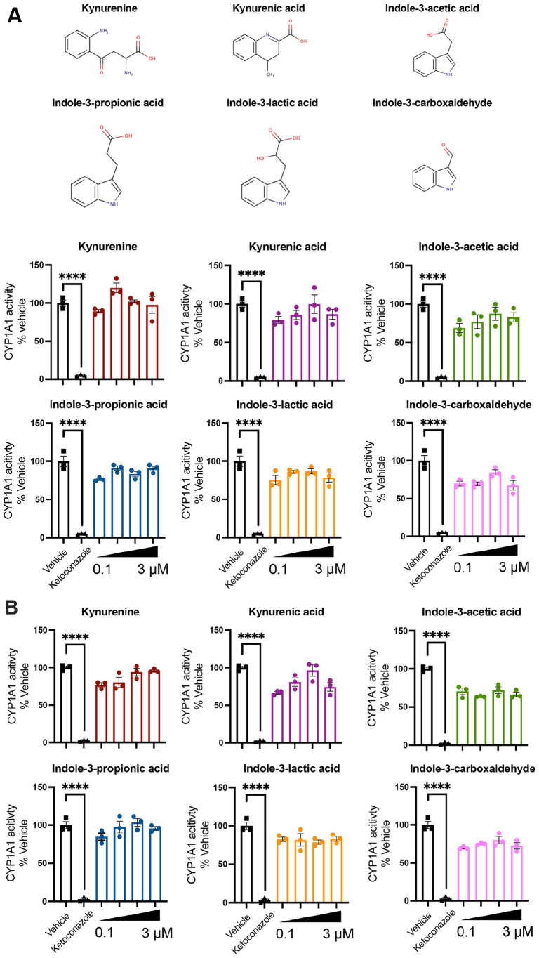 Endogenous Tryptophan-Derived Ah Receptor Ligands are Dissociated from CYP1A1/1B1-Dependent Negative-Feedback.