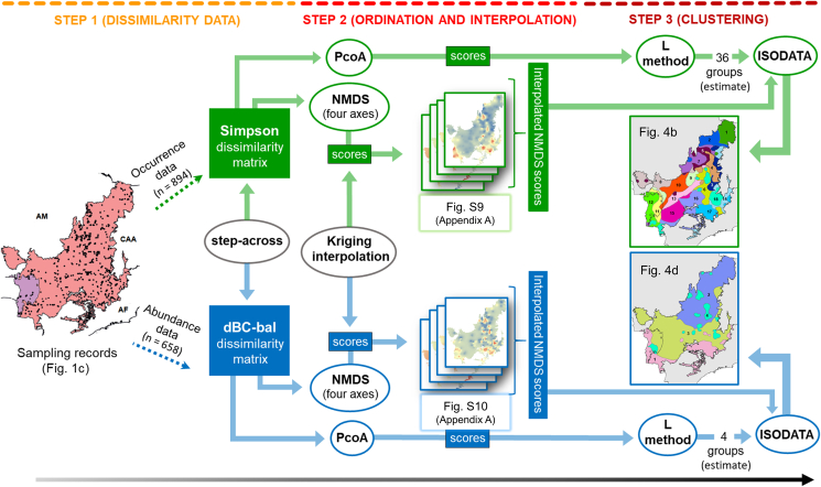 New patterns of the tree beta diversity and its determinants in the largest savanna and wetland biomes of South America