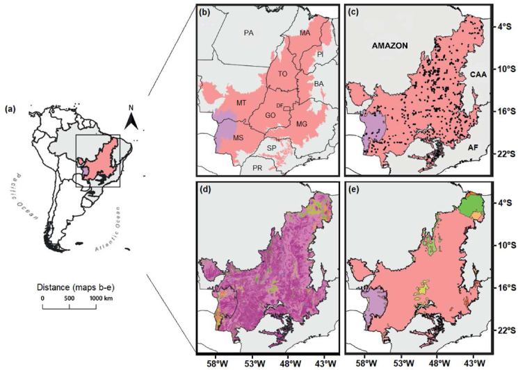 New patterns of the tree beta diversity and its determinants in the largest savanna and wetland biomes of South America