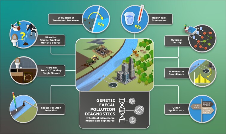 Have genetic targets for faecal pollution diagnostics and source tracking revolutionized water quality analysis yet?