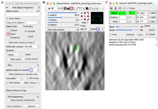 Characterization of Microtubule Lattice Heterogeneity by Segmented Subtomogram Averaging.