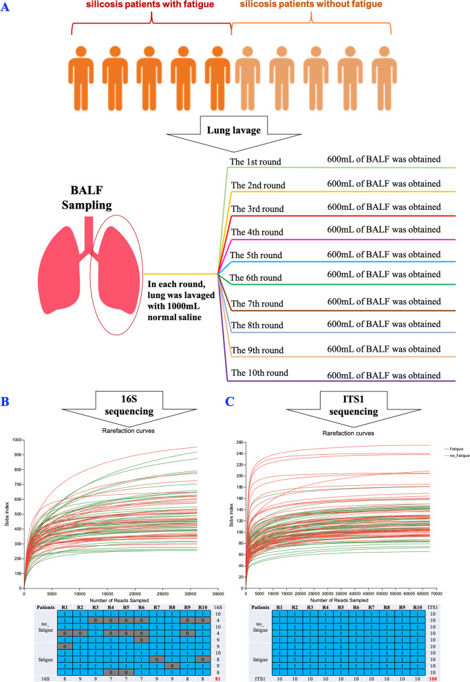 Microbiota and mycobiota in bronchoalveolar lavage fluid of silicosis patients.