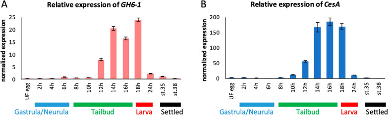 Expression and possible functions of a horizontally transferred glycosyl hydrolase gene, GH6-1, in Ciona embryogenesis.