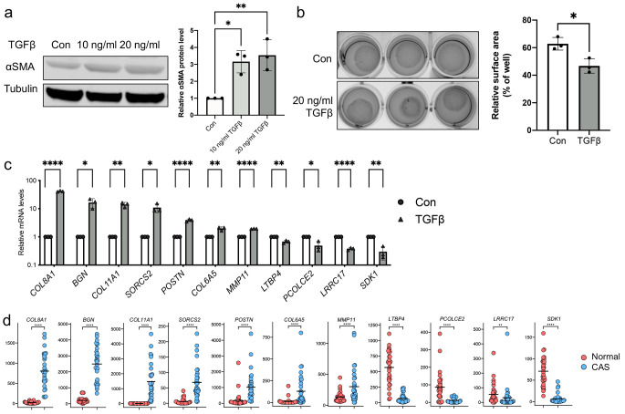 Deciphering Stromal Changes between Metastatic and Non-metastatic Canine Mammary Carcinomas.