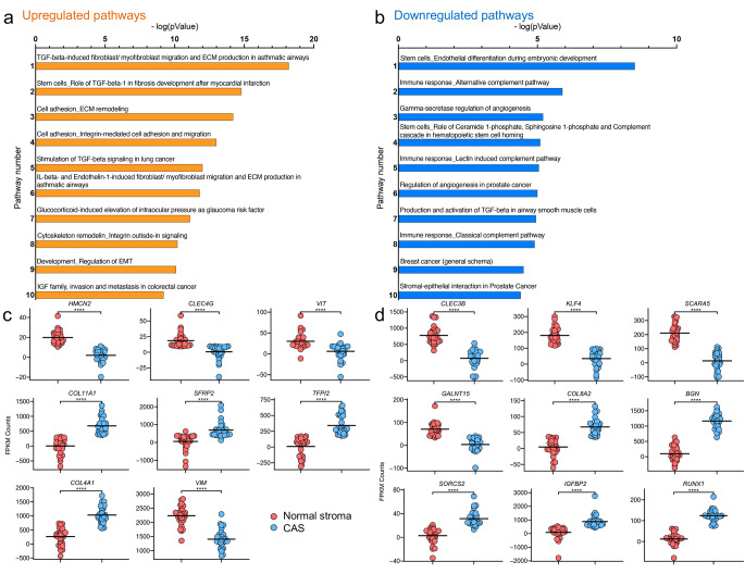 Deciphering Stromal Changes between Metastatic and Non-metastatic Canine Mammary Carcinomas.