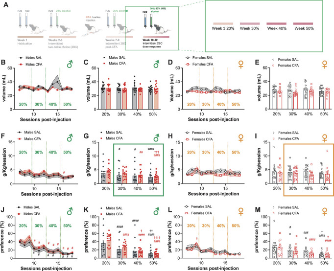 Inflammatory pain affects alcohol intake in a dose-dependent manner in male rats in the intermittent access model.