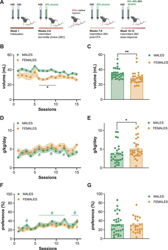 Inflammatory pain affects alcohol intake in a dose-dependent manner in male rats in the intermittent access model.