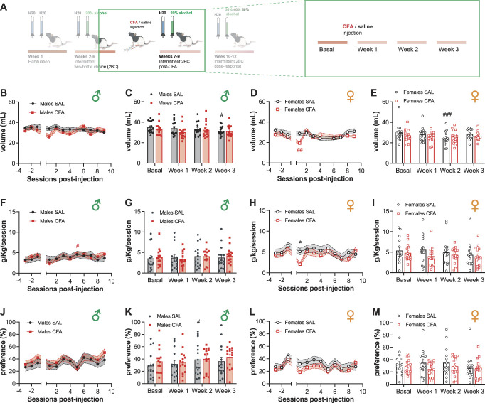 Inflammatory pain affects alcohol intake in a dose-dependent manner in male rats in the intermittent access model.