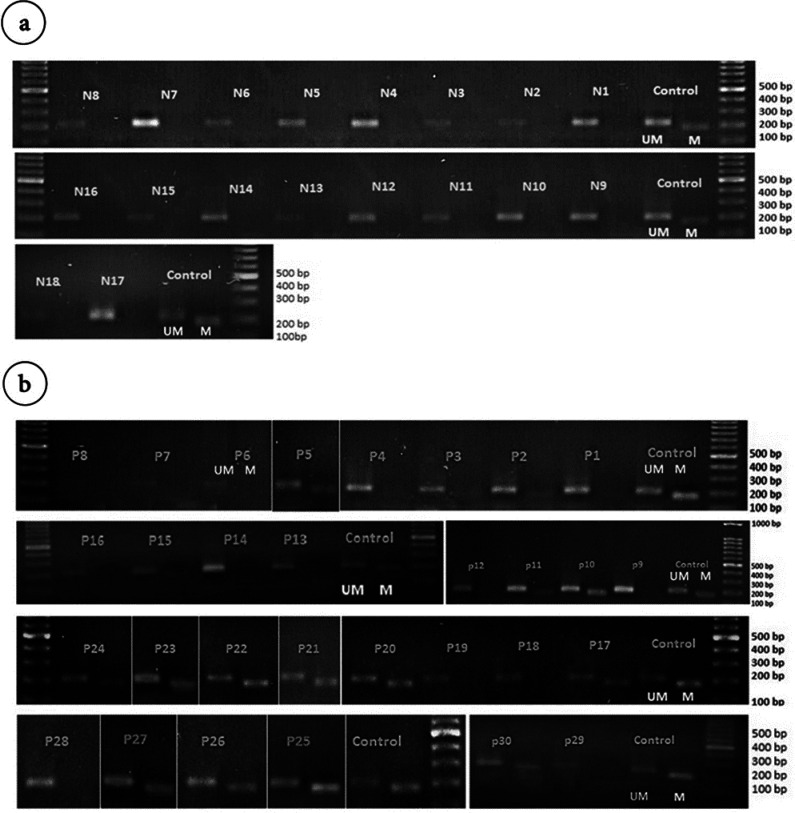 The Association of Methylation Status and Expression Level of <i>MyoD1</i> with <i>DNMT1</i> Expression Level in Breast Cancer Patients.