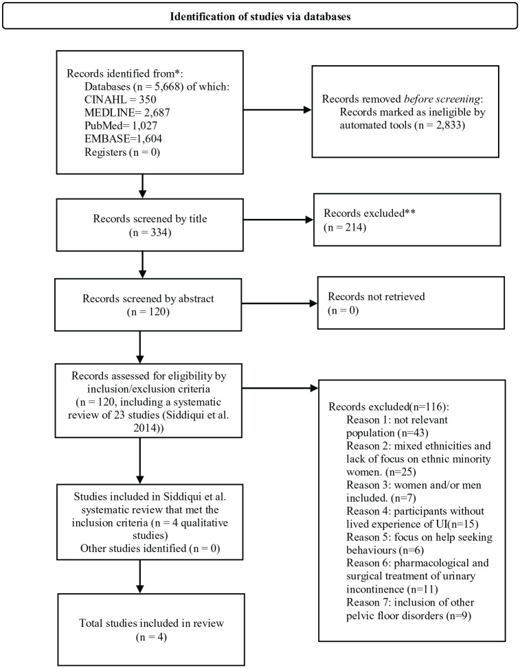 The Experience of Women From Underrepresented Groups With Urinary Incontinence: A Systematic Review.