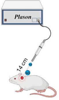 Nitric oxide therapy is beneficial to rehabilitation in professional soccer players: clinical and experimental studies.