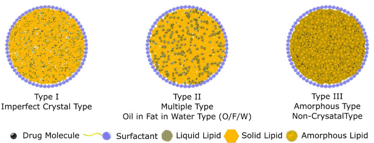 An Overview of Nanostructured Lipid Carriers and its Application in Drug Delivery through Different Routes.