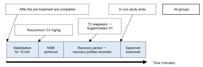 Chronic exposure to dexamethasone may not affect sugammadex reversal of rocuronium-induced neuromuscular blockade: an in vivo study on rats.