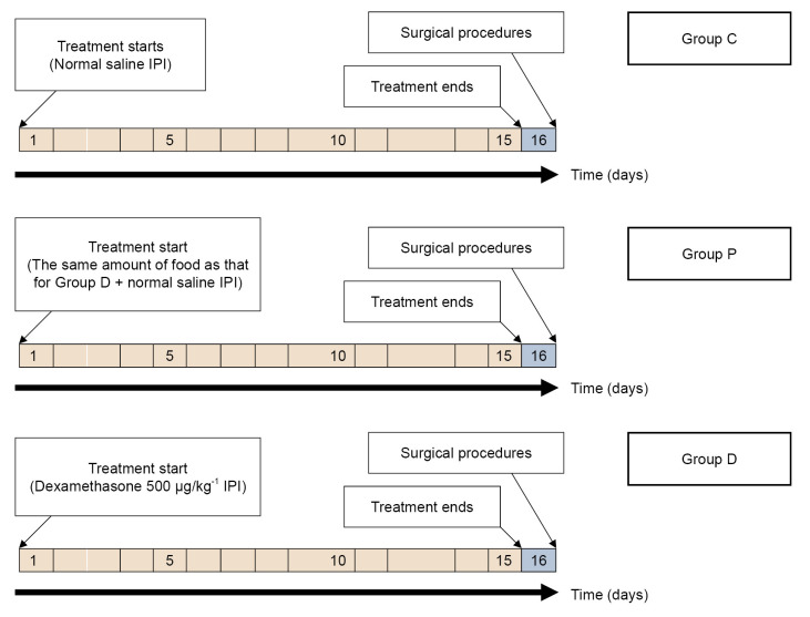 Chronic exposure to dexamethasone may not affect sugammadex reversal of rocuronium-induced neuromuscular blockade: an in vivo study on rats.