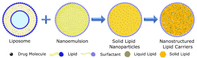 An Overview of Nanostructured Lipid Carriers and its Application in Drug Delivery through Different Routes.