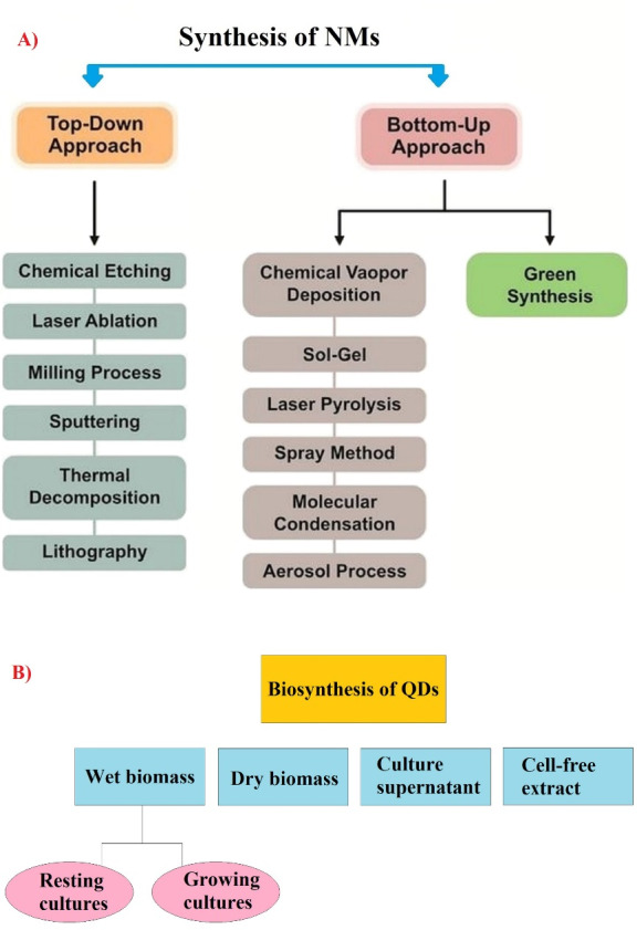 Biosynthesis of Quantum Dots and Their Therapeutic Applications in the Diagnosis and Treatment of Cancer and SARS-CoV-2.