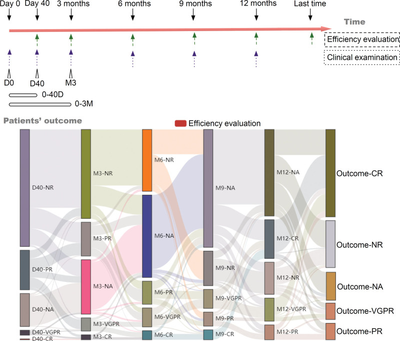 An investigation of long-term outcome of rabbit anti-thymocyte globulin and cyclosporine therapy for pediatric severe aplastic anemia.