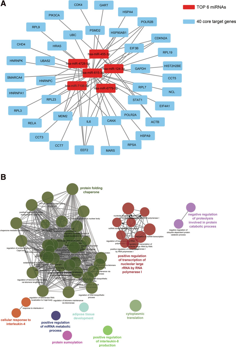 Exosome miRNAs profiling in serum and prognostic evaluation in patients with multiple myeloma.