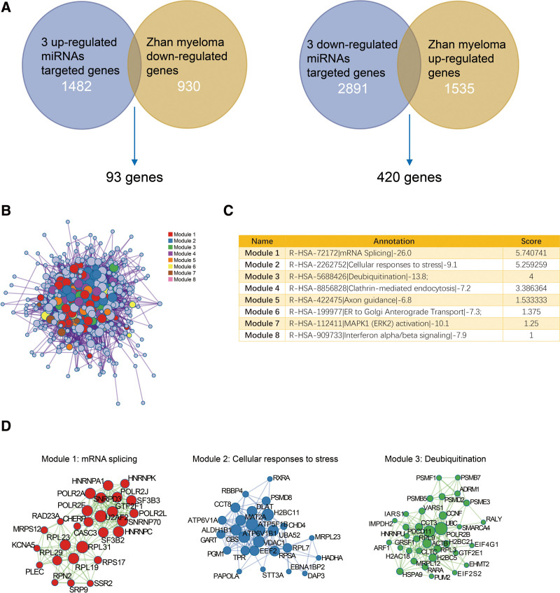 Exosome miRNAs profiling in serum and prognostic evaluation in patients with multiple myeloma.