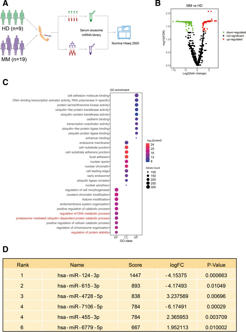 Exosome miRNAs profiling in serum and prognostic evaluation in patients with multiple myeloma.