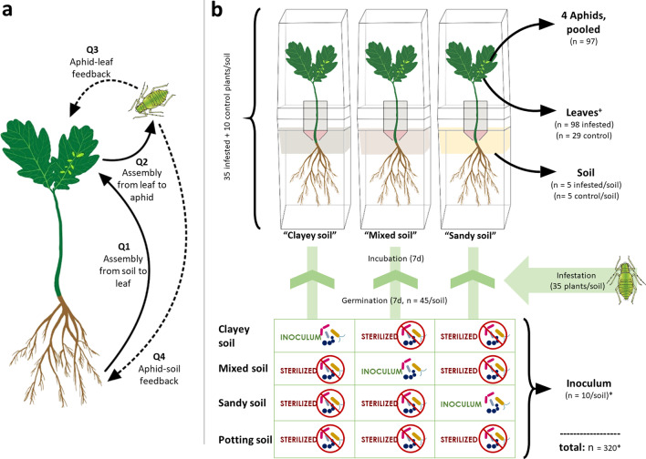 Reciprocal influence of soil, phyllosphere, and aphid microbiomes.