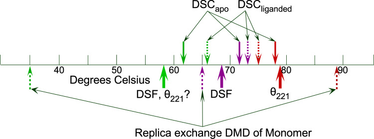 High-throughput thermal denaturation of tryptophanyl-tRNA synthetase combinatorial mutants reveals high-order energetic coupling determinants of conformational stability.