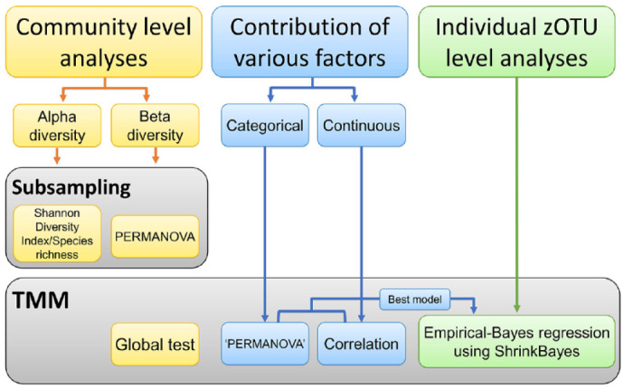 Microbial Indicators of Dental Health, Dysbiosis, and Early Childhood Caries.