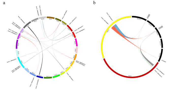 Characterization and the comprehensive expression analysis of tobacco valine-glutamine genes in response to trichomes development and stress tolerance.