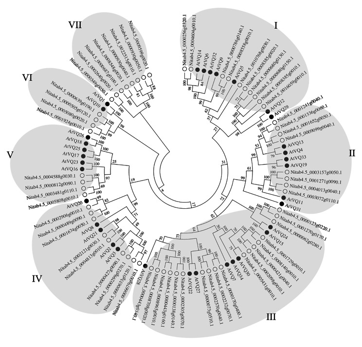 Characterization and the comprehensive expression analysis of tobacco valine-glutamine genes in response to trichomes development and stress tolerance.