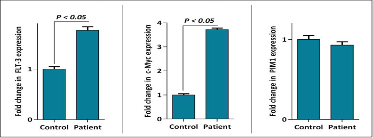 Involvement Value of FLT-3, c-Myc, STAT3, p27, and HOTAIR Gene Expression in Acute Myeloid Leukemia Patients: A Molecular Perspective to a Novel Leukemogenesis Mechanism.