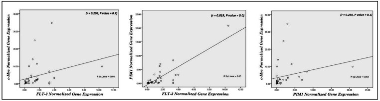 Involvement Value of FLT-3, c-Myc, STAT3, p27, and HOTAIR Gene Expression in Acute Myeloid Leukemia Patients: A Molecular Perspective to a Novel Leukemogenesis Mechanism.