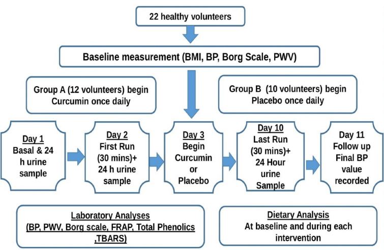 Effects of Turmeric Concentrate on Cardiovascular Risk Factors and Exercise-Induced Oxidative Stress in Healthy Volunteers; an Exploratory Study.