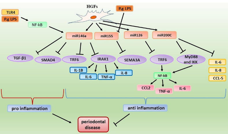 MicroRNAs and Periodontal Disease: Helpful Therapeutic Targets?