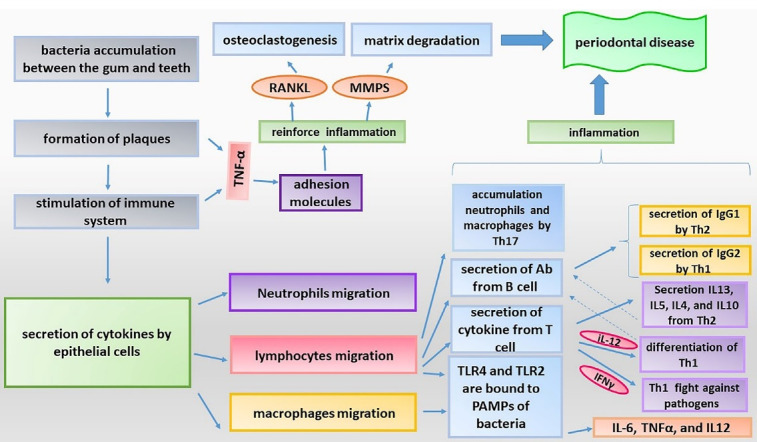 MicroRNAs and Periodontal Disease: Helpful Therapeutic Targets?