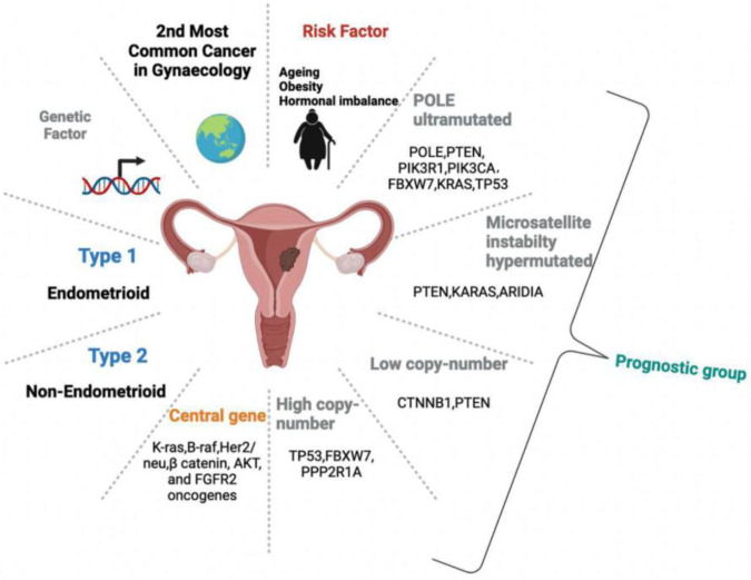 The Role of MicroRNAs in Development of Endometrial Cancer: A Literature Review.