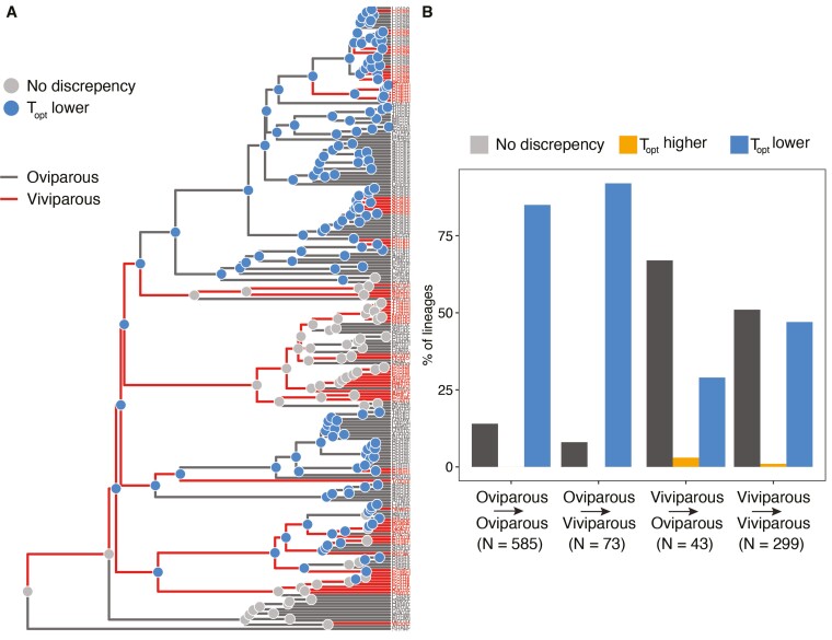 Maternal behavioral thermoregulation facilitated evolutionary transitions from egg laying to live birth.