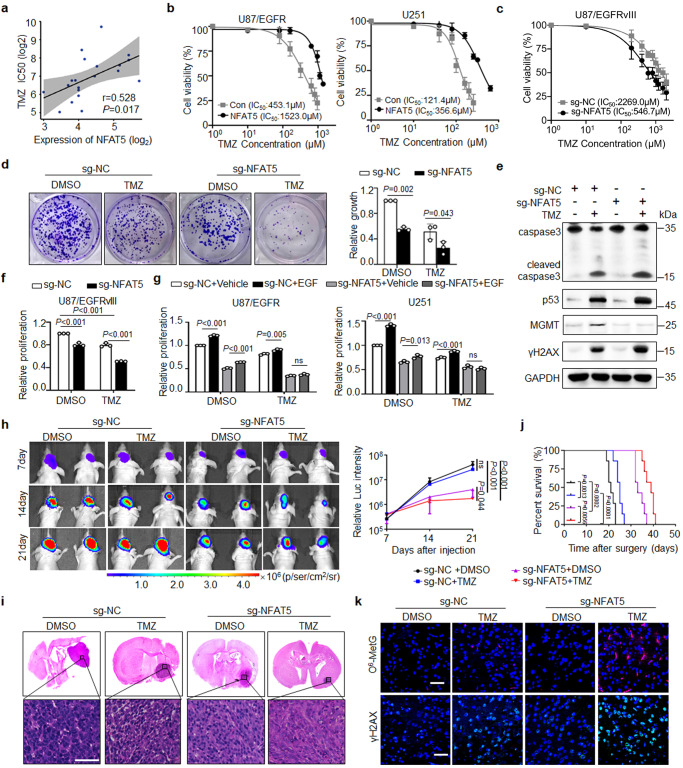 Lysine methylation promotes NFAT5 activation and determines temozolomide efficacy in glioblastoma.