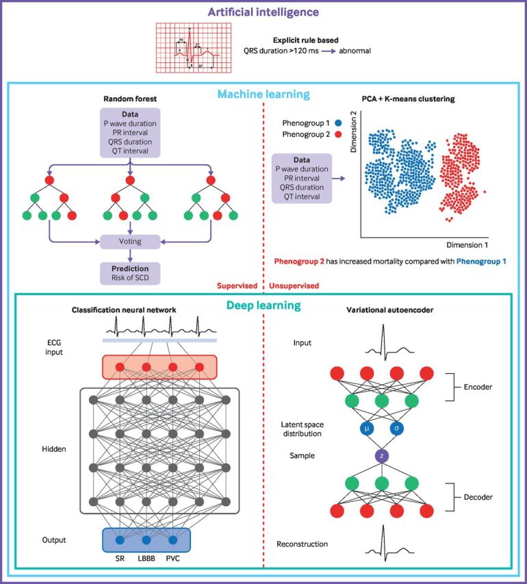 <b>--</b>The emerging role of artificial intelligence enabled electrocardiograms in healthcare.