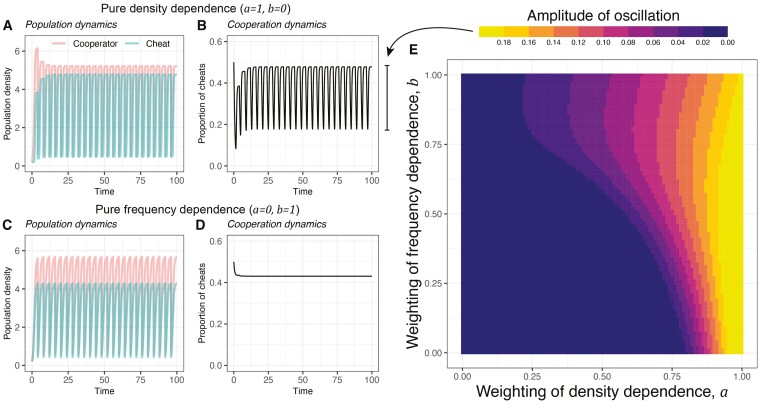 Equilibria and oscillations in cheat-cooperator dynamics.