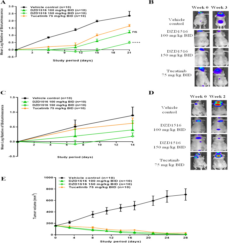 Preclinical and clinical activity of DZD1516, a full blood-brain barrier-penetrant, highly selective HER2 inhibitor.