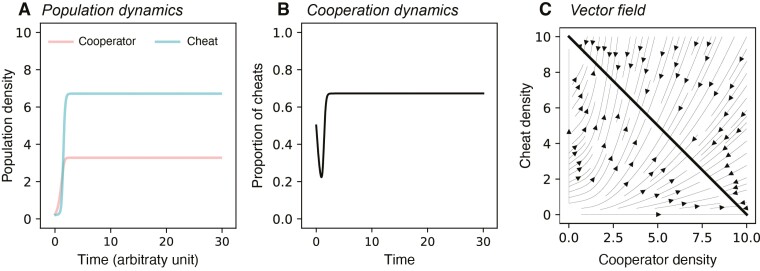 Equilibria and oscillations in cheat-cooperator dynamics.