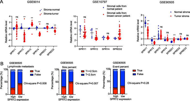 Loss of SPRY2 contributes to cancer-associated fibroblasts activation and promotes breast cancer development.