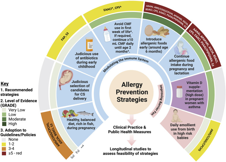 Primary Prevention of Allergy - Is It Feasible?