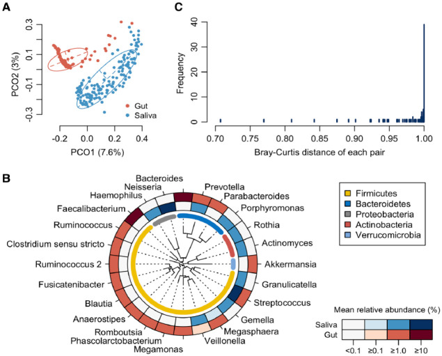 High-Resolution Detection of Translocation of Oral Bacteria to the Gut.