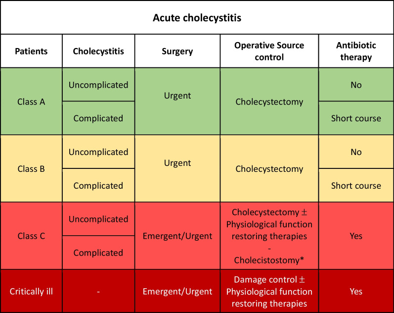 Source control in emergency general surgery: WSES, GAIS, SIS-E, SIS-A guidelines.