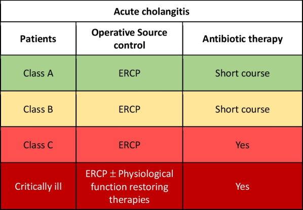 Source control in emergency general surgery: WSES, GAIS, SIS-E, SIS-A guidelines.