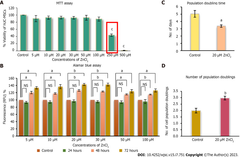 Zinc enhances the cell adhesion, migration, and self-renewal potential of human umbilical cord derived mesenchymal stem cells.