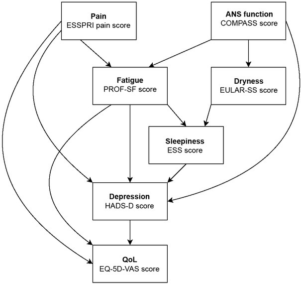 Depression in Sjögren's syndrome mediates the relationship between pain, fatigue, sleepiness, and overall quality of life.