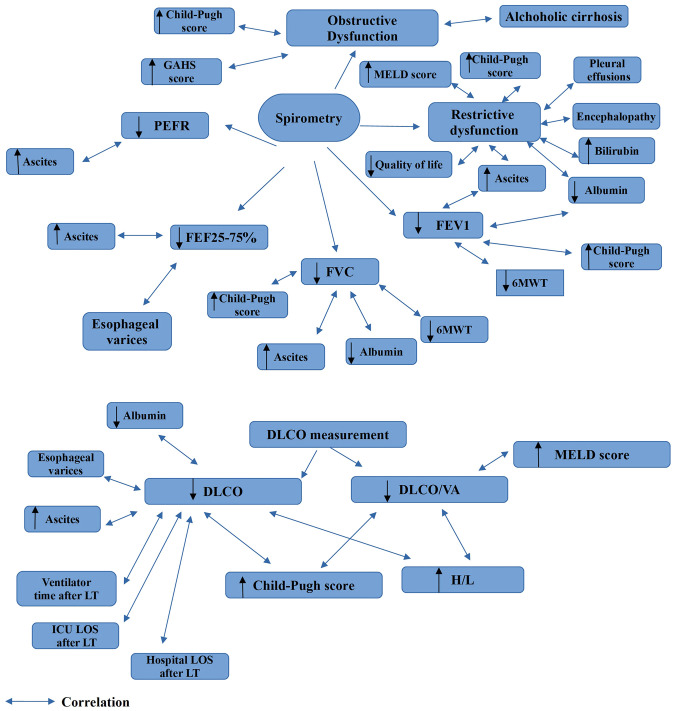 Pulmonary function testing in patients with liver cirrhosis (Review).